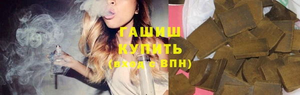 гидра Горнозаводск