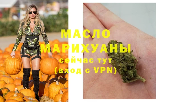 гидра Горнозаводск