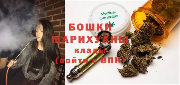 гидра Горнозаводск
