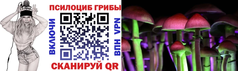 Купить  Валдай  Галлюциногенные грибы Magic Shrooms 