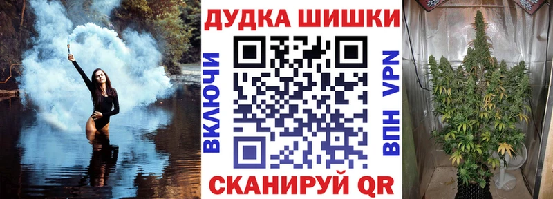 Бошки марихуана планчик  Купить закладки  Валдай 